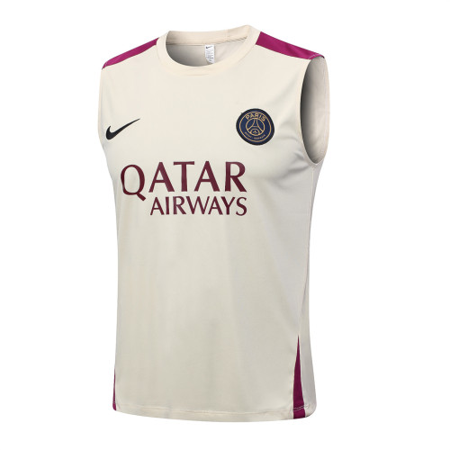 Paris Saint Germain Training Jersey 23/24