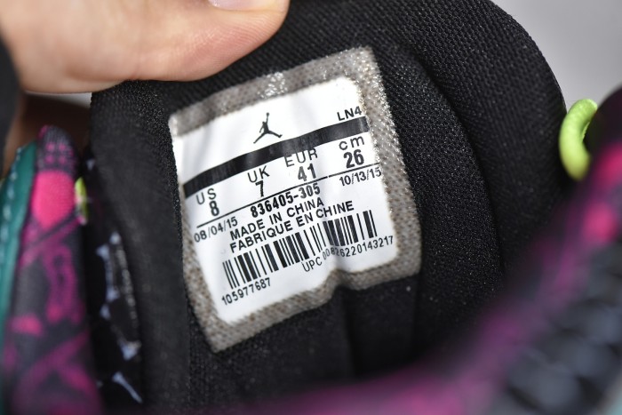 Air Jordan 13 Doernbecher 836405-305