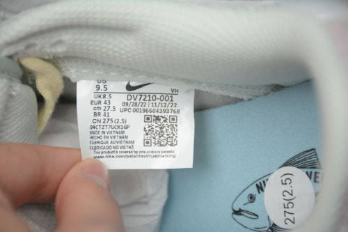 Dunk Low Retro SE Gone Fishing Photon Dust Silver DV7210-001