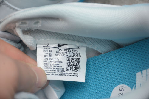 SB Dunk Low Grey/Blue DV0831-001