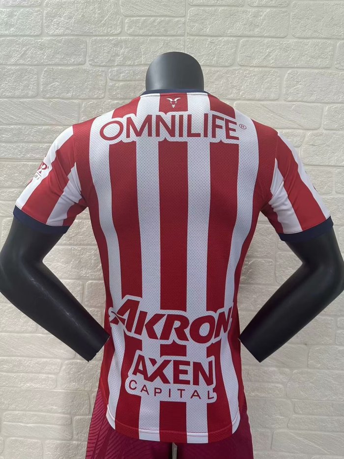 Chivas Away Player Version Man Jersey 24/25
