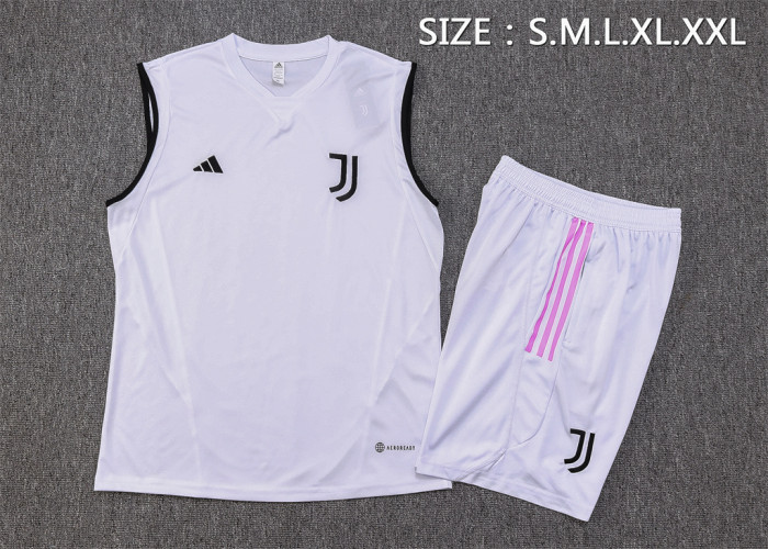 Juventus Training Jersey 23/24