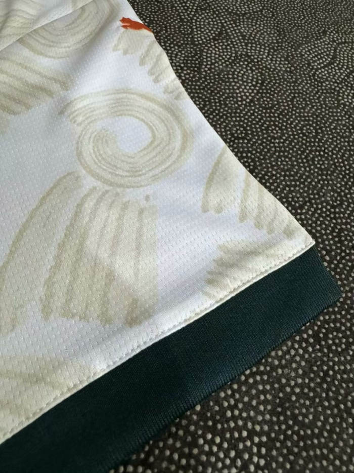 Ivory Coast 2025 Away Man Jersey