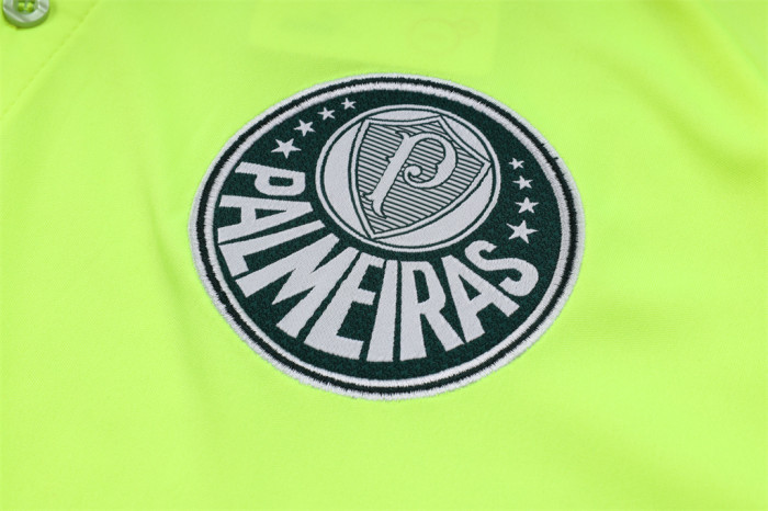 Palmeiras POLO Jersey 23/24