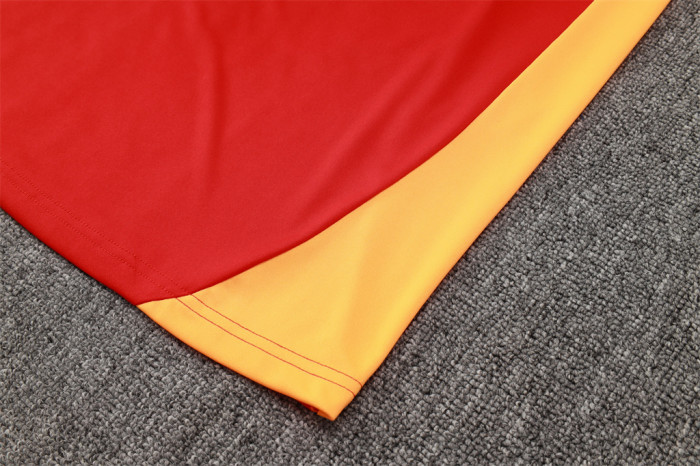 Bayern Munich POLO Jersey 24/25