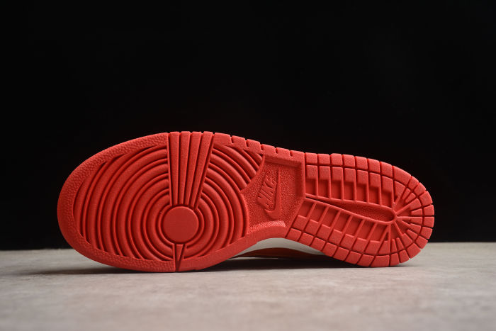 SB Dunk Low ATL FD0724-657