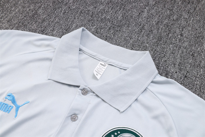 Palmeiras POLO Jersey 23/24