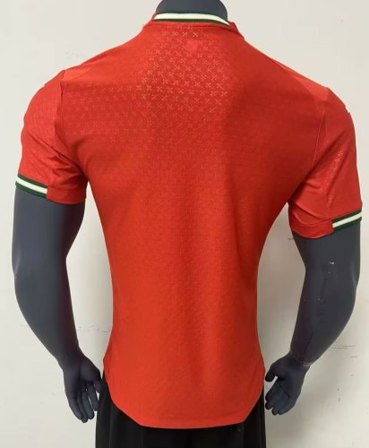 Portugal 2025 Home Player Version Man Jersey