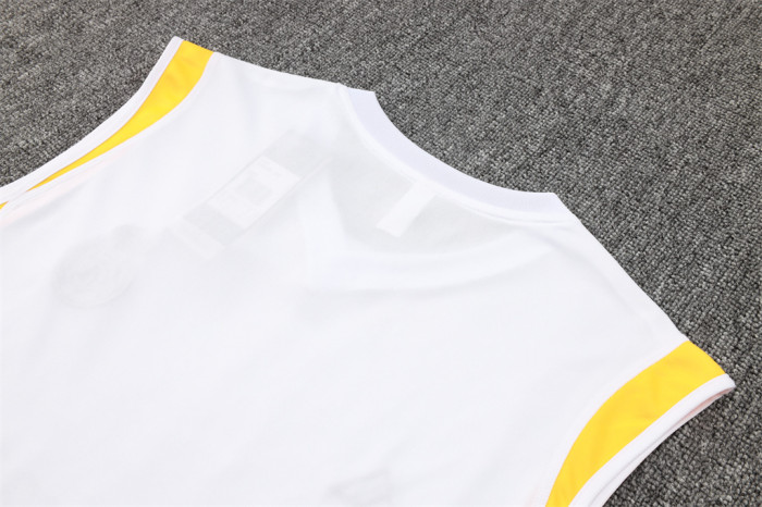 Real Madrid Training Jersey 23/24