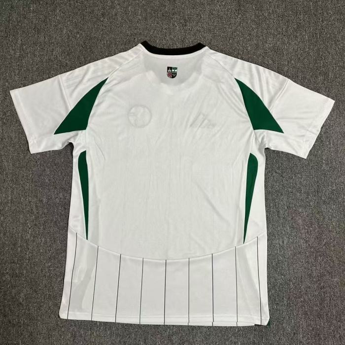 Schalke 04 Away Man Jersey 24/25