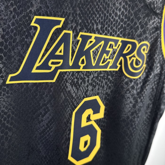 Los Angeles Lakers KIds Jersey City Edition snake pattern Black No.6 JAMES