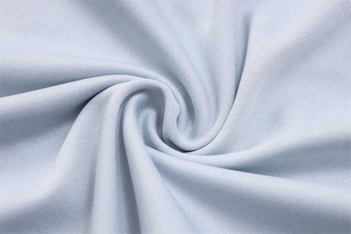 Palmeiras POLO Jersey 23/24