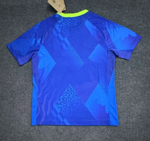 Brazil Women's Team 2025 Copa America Away Man Jersey