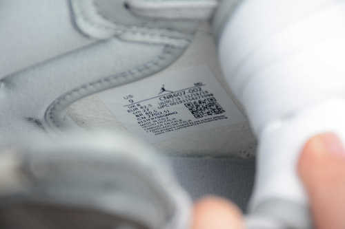 Dior x Air Jordan 1 High OG CN8607-002