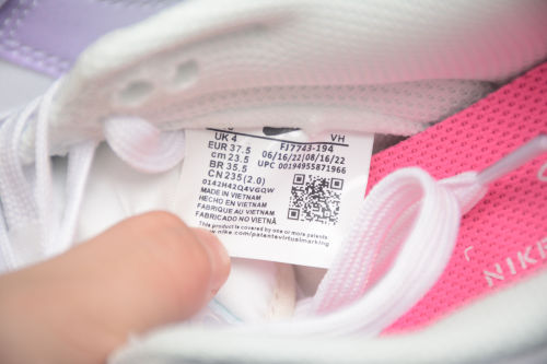 SB Dunk Low Unlock your Space FJ7743-194