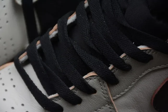 SB x Air Jordan 1 Retro High OG“Light Bone” CD6578-006