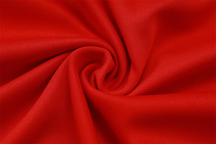 Arsenal Training Jersey Suit 25/26