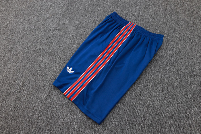 Arsenal Training Jersey 25/26