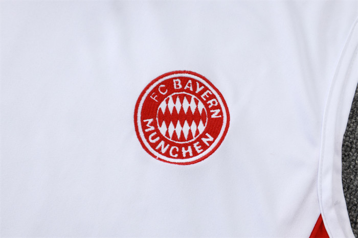 Bayern Munich Training Jersey 25/26