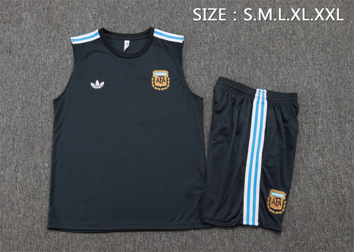 Argentina Training Jersey 24/25