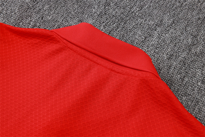 Flamengo POLO Jersey 25/26