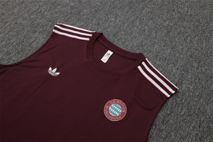 Bayern Munich Training Jersey 25/26
