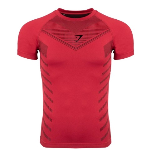 Gymshark T-shirt apex seamless