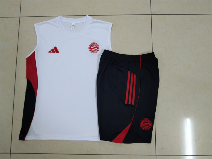 Bayern Munich Training Jersey 25/26