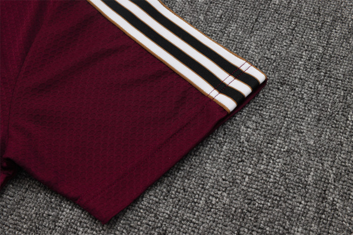 Ajax POLO Jersey 25/26