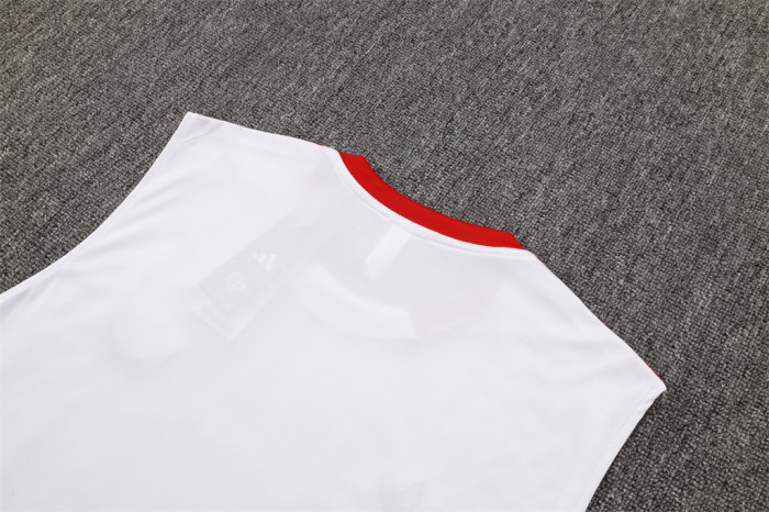 Bayern Munich Training Jersey 25/26