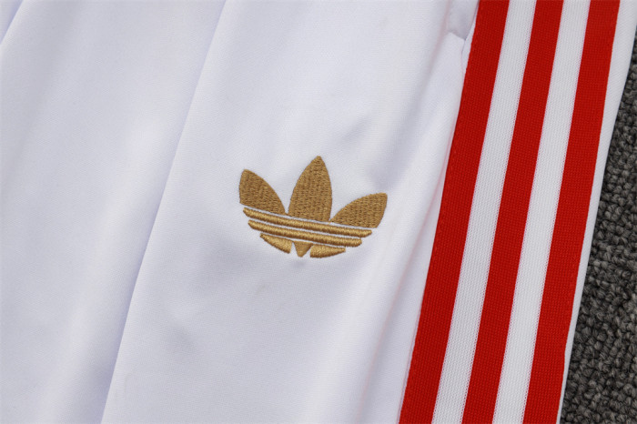 Bayern Munich Training Jersey Suit 25/26