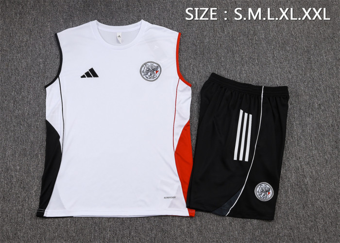 Ajax Training Jersey 25/26