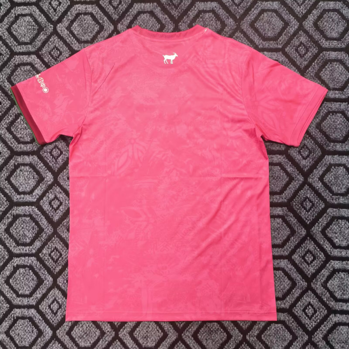 Portugal 2025 Special Man Jersey