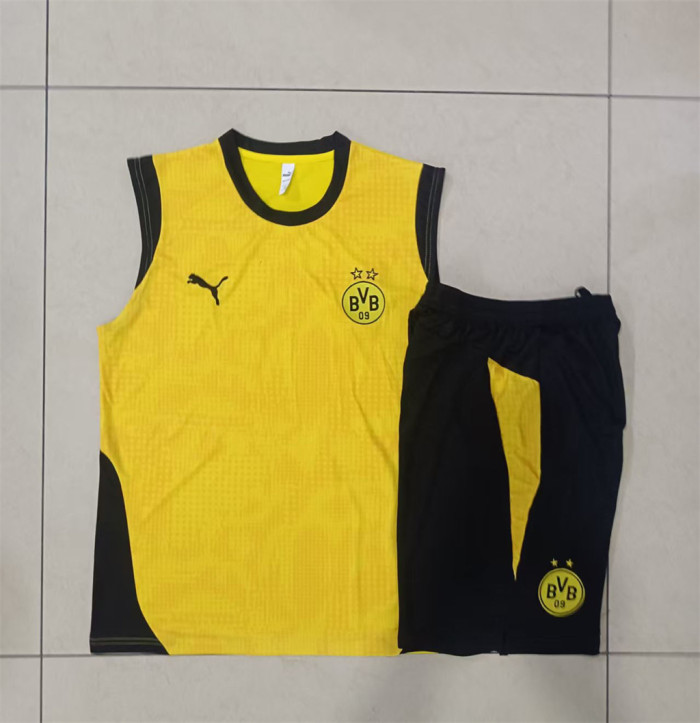 Borussia Dortmund Training Jersey 25/26