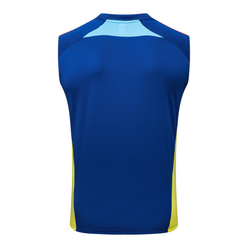 Arsenal Training Jersey 25/26