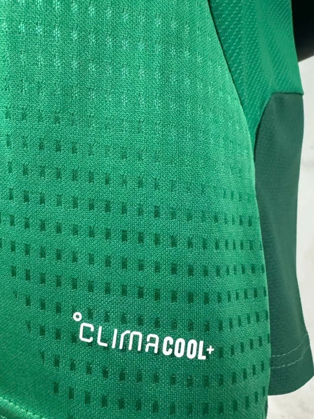 Mexico 2026 Player Green Training Men Jersey