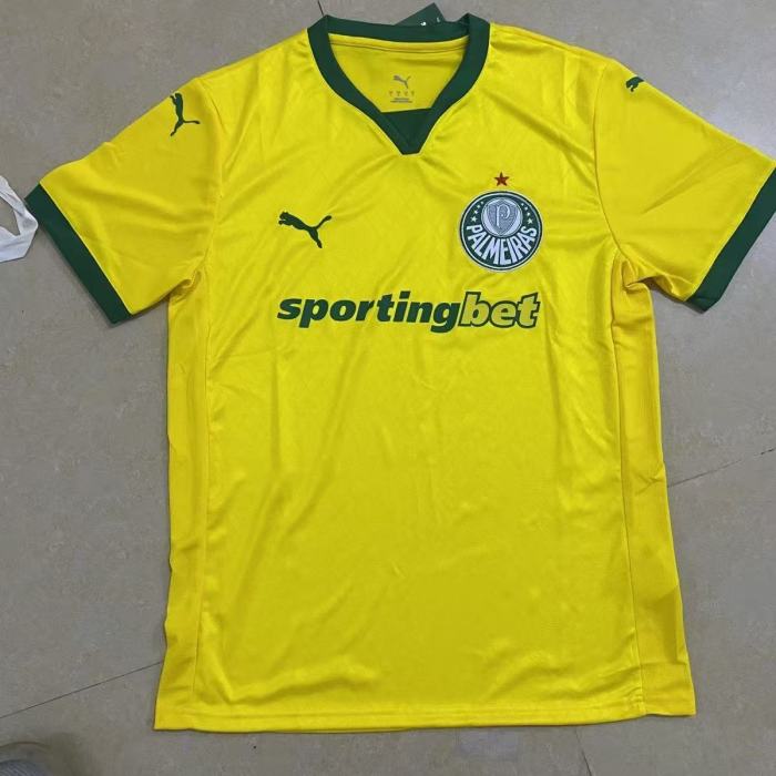 Palmeiras Third Man Jersey 25/26