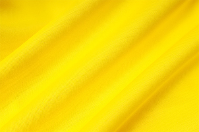 Dortmund Training Jacket 25/26