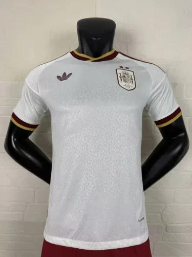 Spain 2026 World Cup Away Player Man Jersey(2 stars)