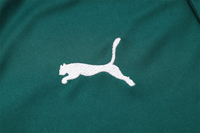 Palmeiras POLO Jersey 23/24
