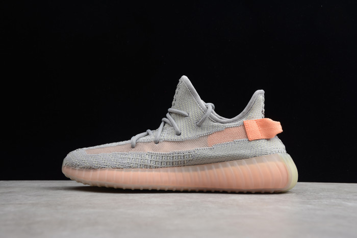 Adidas Yeezy Boost 350 V2 “True Form” EG7492