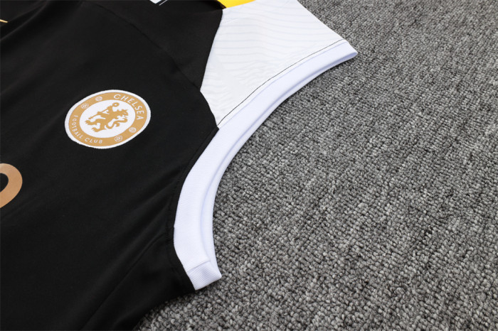 Chelsea Training Jersey 23/24