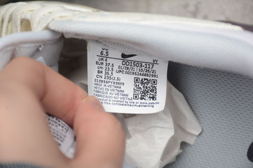 SB Dunk Low DD1503-117