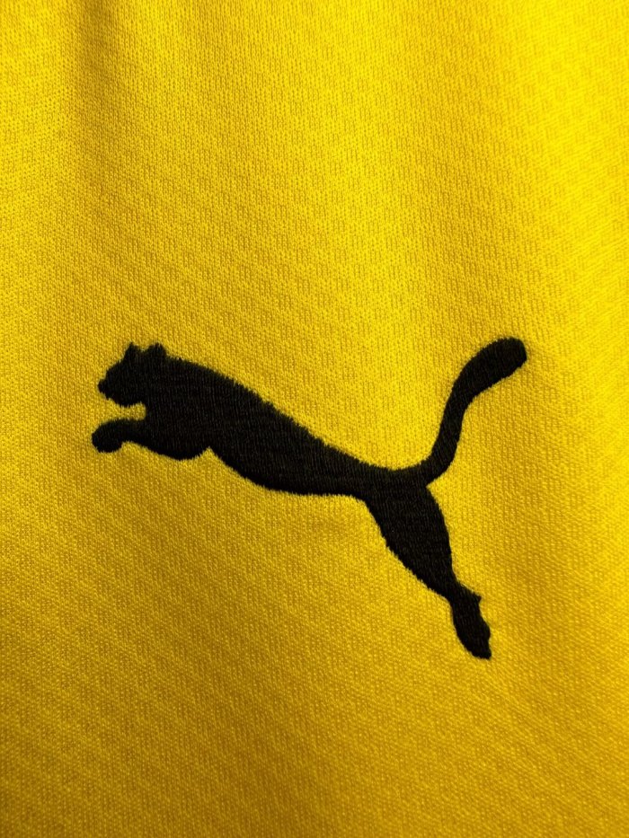 Borussia Dortmund Home Man Jersey 2019/20