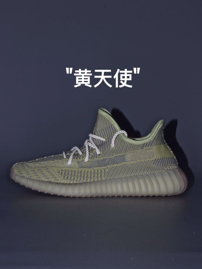 Yeezy 350 V2“Antlia ” FV3250