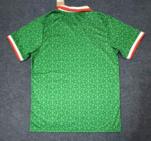 Ireland 2025 Special Man Jersey