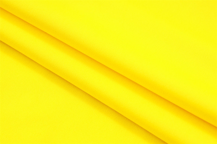 Borussia Dortmund POLO Jersey 23/24