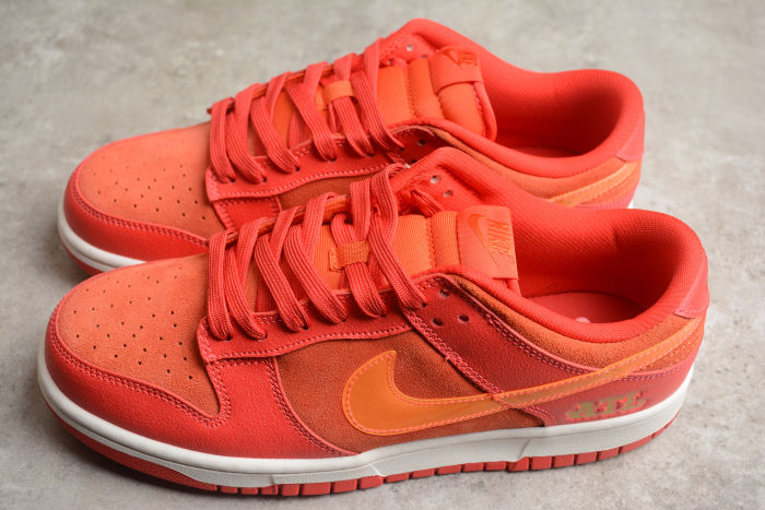 SB Dunk Low ATL FD0724-657