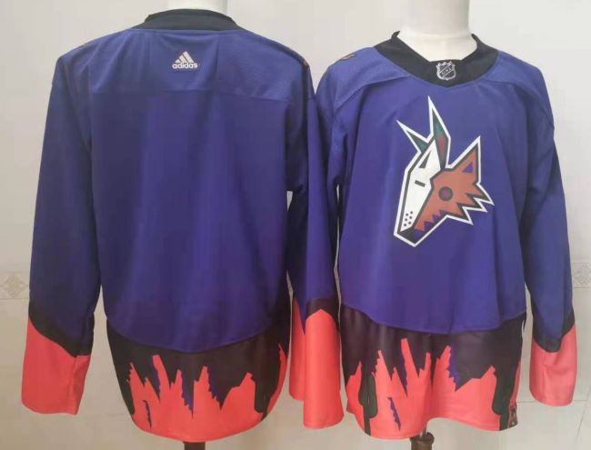 Arizona Coyotes Jersey Reverse Retro Purple 2024 NO Number