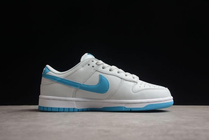 SB Dunk Low Grey/Blue DV0831-001